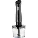 Mixeur Plongeant 3 en 1 Russell Hobbs Desire  Noir
