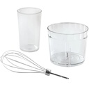 Mixeur Plongeant 3 en 1 Russell Hobbs Desire  Noir